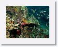 02-UnionIsland - 14